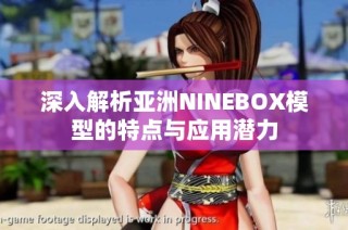 深入解析亚洲NINEBOX模型的特点与应用潜力