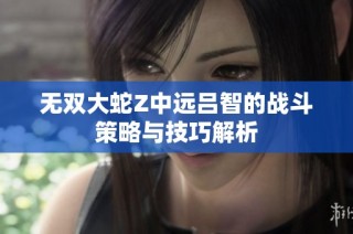 无双大蛇Z中远吕智的战斗策略与技巧解析