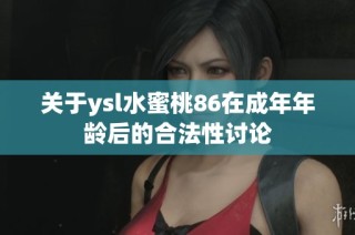 关于ysl水蜜桃86在成年年龄后的合法性讨论