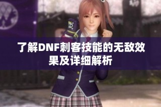 了解DNF刺客技能的无敌效果及详细解析