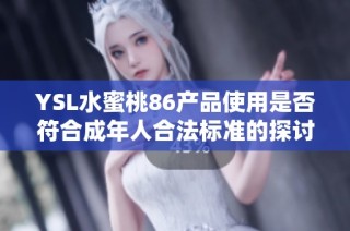 YSL水蜜桃86产品使用是否符合成年人合法标准的探讨