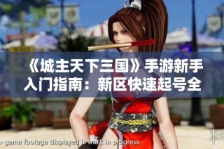 《城主天下三国》手游新手入门指南：新区快速起号全攻略