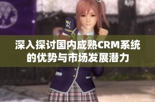 深入探讨国内成熟CRM系统的优势与市场发展潜力