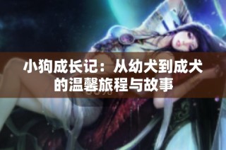 小狗成长记：从幼犬到成犬的温馨旅程与故事