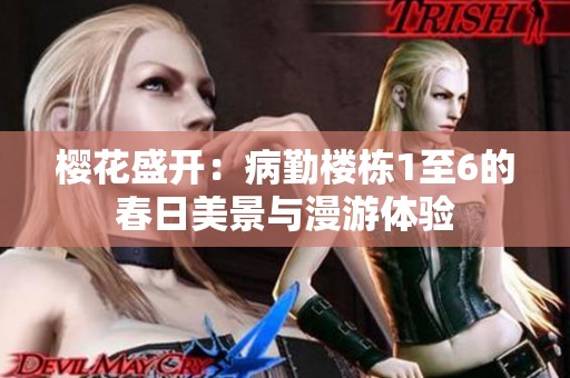 樱花盛开：病勤楼栋1至6的春日美景与漫游体验