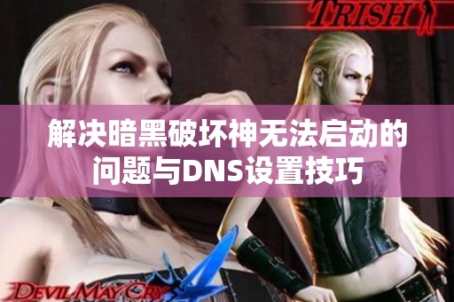 解决暗黑破坏神无法启动的问题与DNS设置技巧