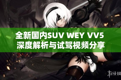 全新国内SUV WEY VV5 深度解析与试驾视频分享
