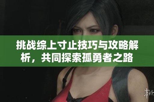 挑战综上寸止技巧与攻略解析，共同探索孤勇者之路
