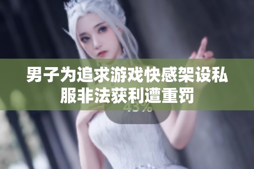 男子为追求游戏快感架设私服非法获利遭重罚