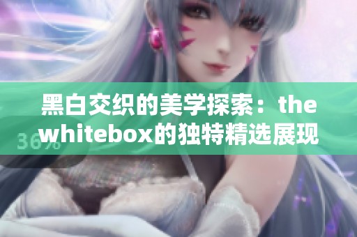 黑白交织的美学探索：thewhitebox的独特精选展现