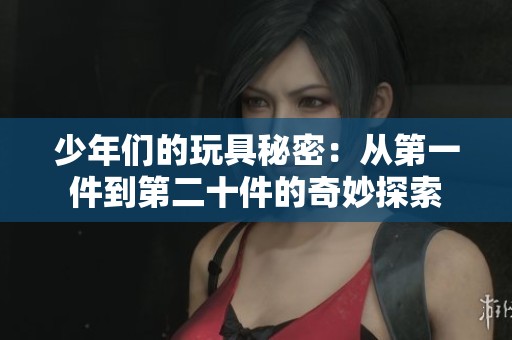 少年们的玩具秘密：从第一件到第二十件的奇妙探索