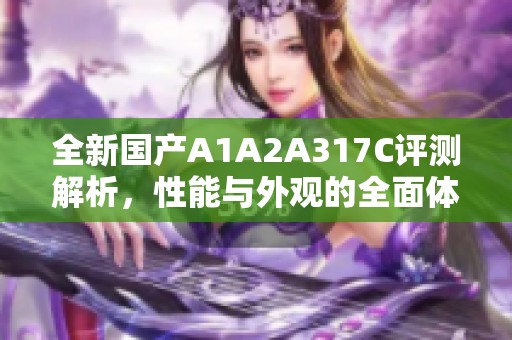 全新国产A1A2A317C评测解析，性能与外观的全面体验