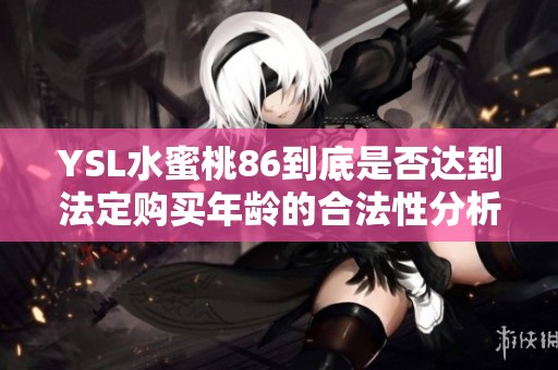YSL水蜜桃86到底是否达到法定购买年龄的合法性分析