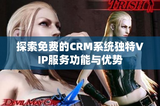 探索免费的CRM系统独特VIP服务功能与优势