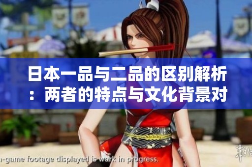 日本一品与二品的区别解析：两者的特点与文化背景对比