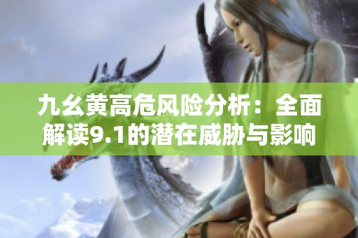 九幺黄高危风险分析：全面解读9.1的潜在威胁与影响