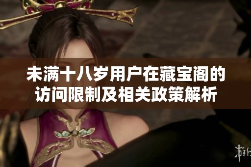 未满十八岁用户在藏宝阁的访问限制及相关政策解析