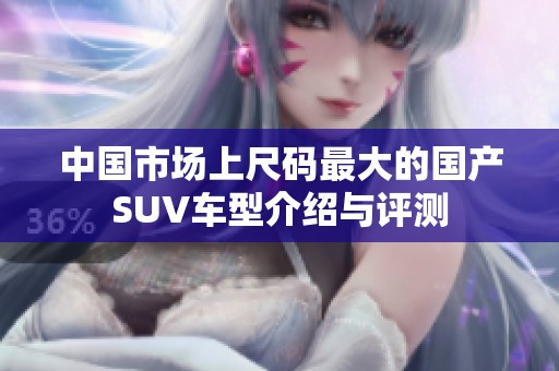 中国市场上尺码最大的国产SUV车型介绍与评测
