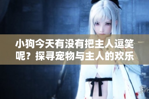 小狗今天有没有把主人逗笑呢？探寻宠物与主人的欢乐日常