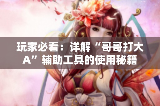 玩家必看：详解“哥哥打大A”辅助工具的使用秘籍