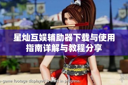 星灿互娱辅助器下载与使用指南详解与教程分享