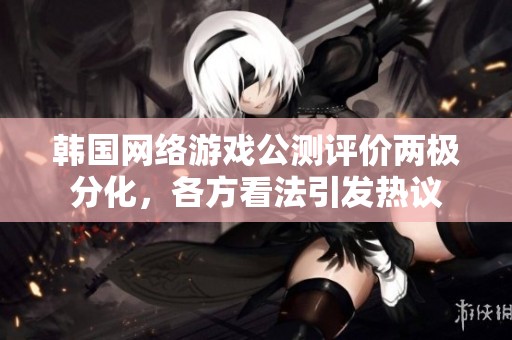 韩国网络游戏公测评价两极分化，各方看法引发热议