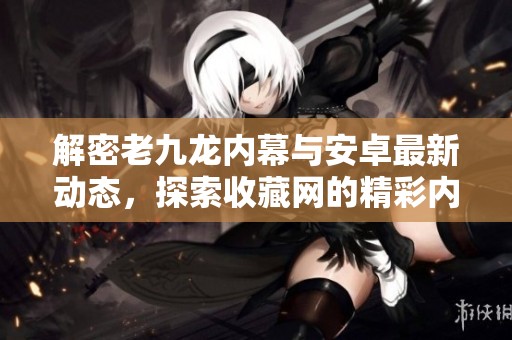解密老九龙内幕与安卓最新动态，探索收藏网的精彩内容