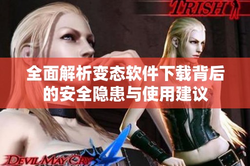 全面解析变态软件下载背后的安全隐患与使用建议