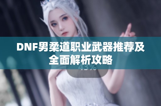 DNF男柔道职业武器推荐及全面解析攻略