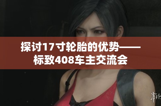 探讨17寸轮胎的优势——标致408车主交流会