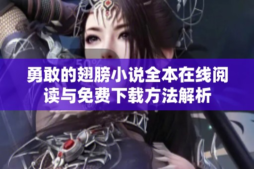 勇敢的翅膀小说全本在线阅读与免费下载方法解析