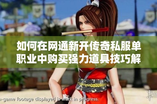 如何在网通新开传奇私服单职业中购买强力道具技巧解析