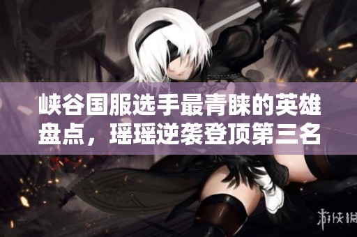 峡谷国服选手最青睐的英雄盘点，瑶瑶逆袭登顶第三名未见貂蝉李白