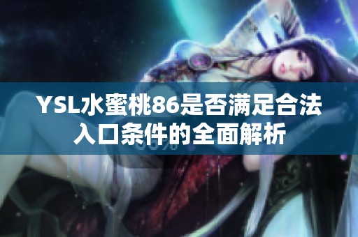YSL水蜜桃86是否满足合法入口条件的全面解析