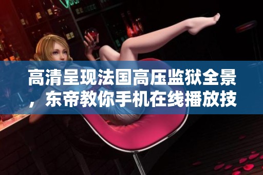 高清呈现法国高压监狱全景，东帝教你手机在线播放技巧