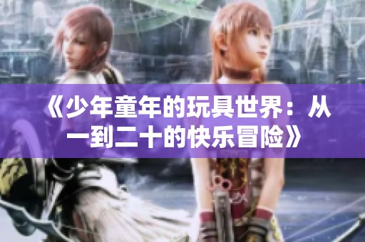 《少年童年的玩具世界：从一到二十的快乐冒险》