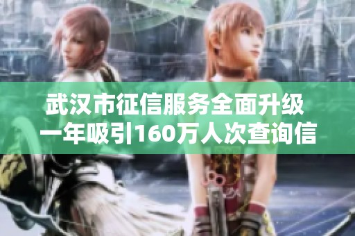 武汉市征信服务全面升级 一年吸引160万人次查询信用报告