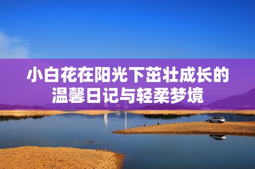 小白花在阳光下茁壮成长的温馨日记与轻柔梦境
