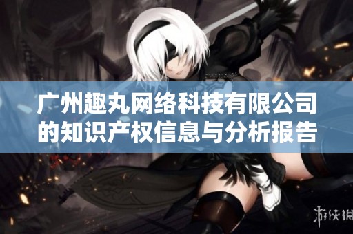 广州趣丸网络科技有限公司的知识产权信息与分析报告