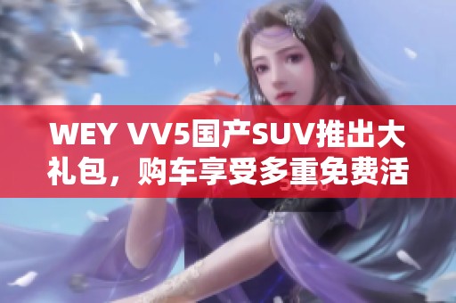 WEY VV5国产SUV推出大礼包，购车享受多重免费活动