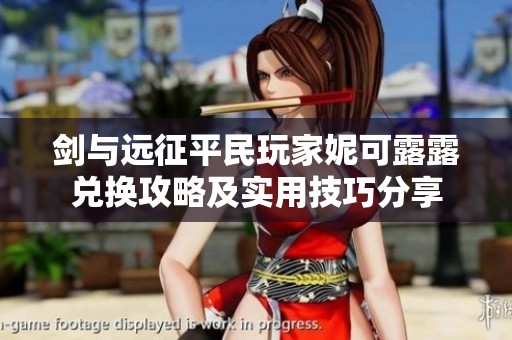 剑与远征平民玩家妮可露露兑换攻略及实用技巧分享