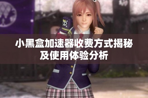 小黑盒加速器收费方式揭秘及使用体验分析