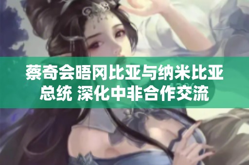 蔡奇会晤冈比亚与纳米比亚总统 深化中非合作交流
