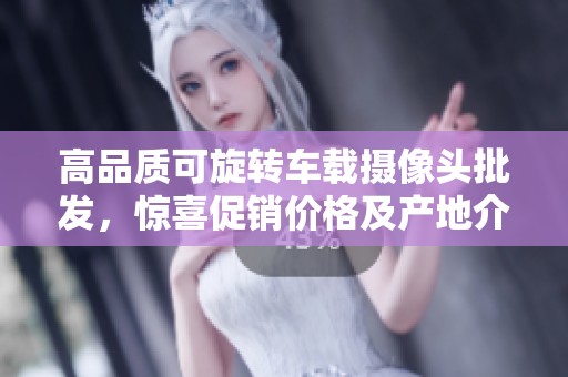高品质可旋转车载摄像头批发，惊喜促销价格及产地介绍
