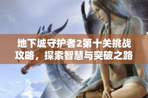 地下城守护者2第十关挑战攻略，探索智慧与突破之路