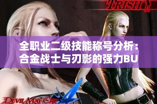 全职业二级技能称号分析：合金战士与刃影的强力BUFF效果揭秘