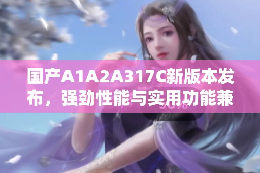 国产A1A2A317C新版本发布，强劲性能与实用功能兼具