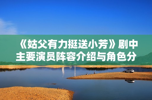 《姑父有力挺送小芳》剧中主要演员阵容介绍与角色分析