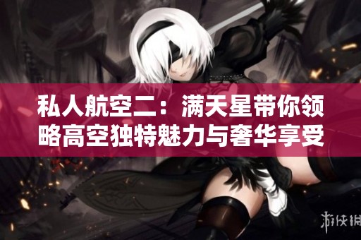 私人航空二：满天星带你领略高空独特魅力与奢华享受