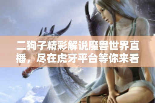 二狗子精彩解说魔兽世界直播，尽在虎牙平台等你来看！